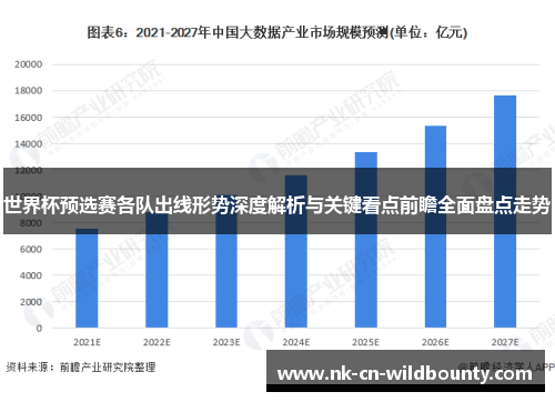 世界杯预选赛各队出线形势深度解析与关键看点前瞻全面盘点走势